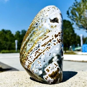 917g Top Natur Marine Jaspis Quarz Kristall Mineral Präparat - Bild 1 von 12