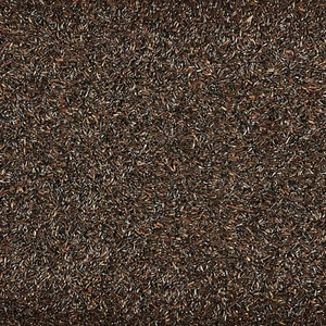 Nyjer Wild Bird Food Seed, 8 Pound - Picture 1 of 12
