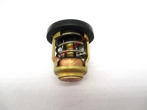 Für Yamaha Außenborder 4-15 PS T8EXH F9.9FELR Thermostat 66M-12411-01-00 6G8-12411 - Bild 1 von 8