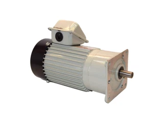 LIMING MOTOR SV-A10 , SVA10 0.2kw 1/5 Rat 4Pole 60Hz 110/220V 344rpm Motor - Picture 1 of 5