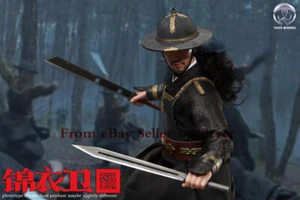 Modellino ToyWork TW002 1/6 Donnie Yen China Ming Dynasty Jinyiwei in magazzino - Foto 1 di 7