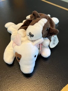 Ty Beanie Babies Butch & Bruno Bull Terriers! LooK! - Picture 1 of 9