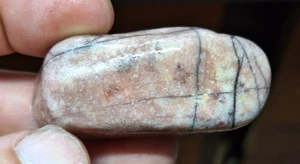 Kona Dolomit - Fossiler Stromatolith (Blaualge) - Lake Superior Michigan - Bild 1 von 7