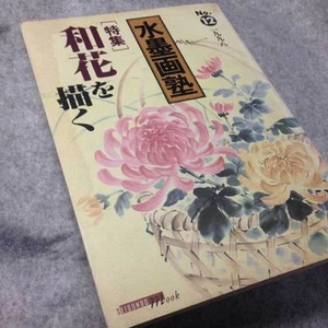Japanese Suibokuga Sumi-e Brush Painting Art Sample Book No12 Japanese Flowers - Picture 1 of 4