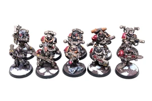 Warhammer Space Wolves Tactical Squad Well Painted A24 - Picture 1 of 4