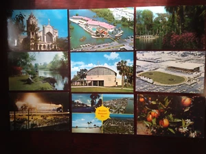 20 only Postcard lot, Florida. Set 15. Nice! - Picture 1 of 3