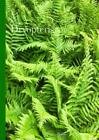Dryopteris Notizbuch & Bullet Journal A5, Softcover 6257