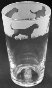 ROTTWEILER Frieze Boxed 57cl Conical 1 Pint Glass - Picture 1 of 4