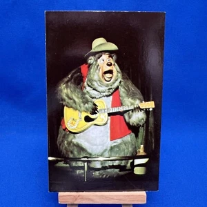 Walt Disney World Vintage Postcard The Country Bear Jamboree ~ Unposted - Picture 1 of 6