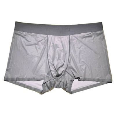 Para Hombres Sedoso Brillante Bragas Calzoncillos Boxer Bolsa Abultada Calzoncillos Boxer Ropa Interior Foto 1 de 4