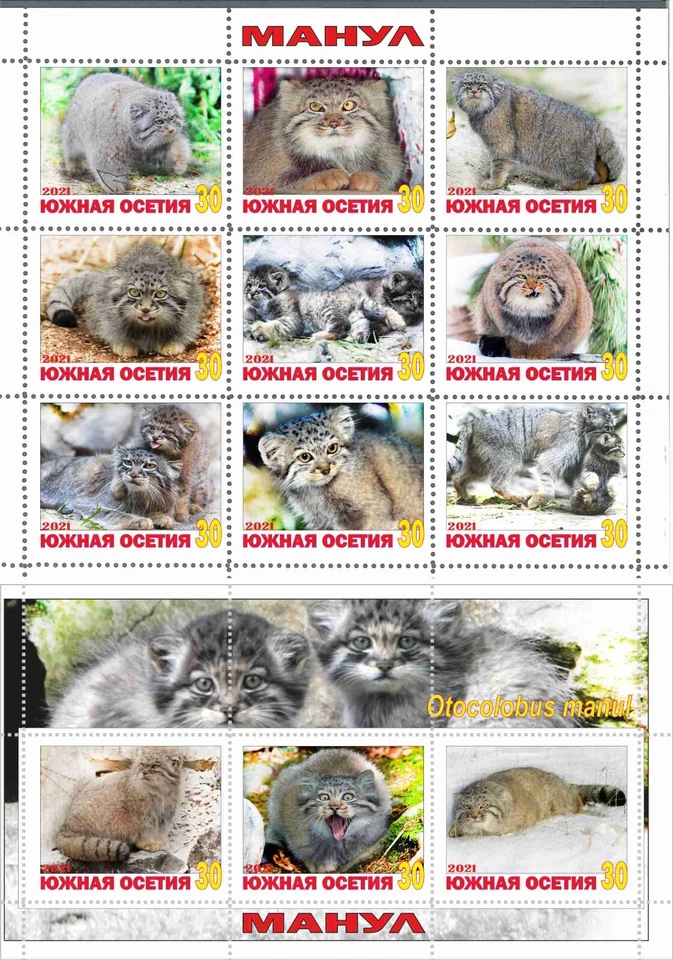 Stamp sheet+block Manul South Ossetia issue 2021 Wild Cats - Image 1 of 1