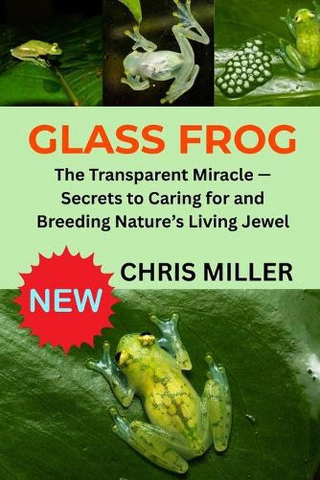 Glass Frog: The Transparent Miracle - Secrets to Caring for and Breeding Nature' - Image 1 of 1