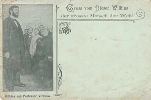 Riese Wilkins und Professor Virchow Charité AK um 1900 Freaks Varieté 2404480 - Bild 1 von 2