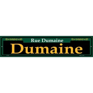 Dumaine Green Novelty 4"x18" metal street sign plaque Home Door Garage Wall - Picture 1 of 1
