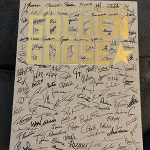 THE PERFECT IMPERFECTION OF GOLDEN GOOSE Book/damaged - Picture 1 of 6