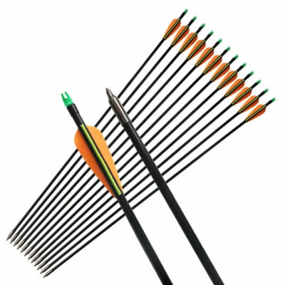 Archery 6pcs/12pcs Fibreglass Arrows Feild Tips Hunting Arrows for Compound Bow - Image 1 of 4