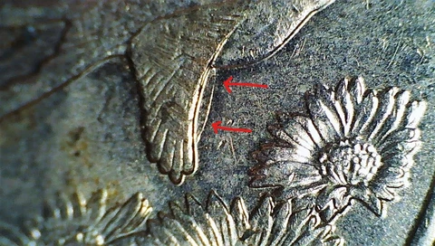 2008 Oklahoma State Quarter with Elongated Die Chip Along Wing Cover