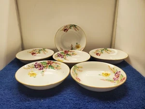 Set of 6 Kent Springfield Soup Bowls LK - Picture 1 of 3