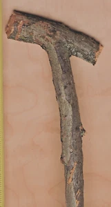 14" Apple Wood Stick Carving Blank Staff Crafts Angled Handle Crotch 1  1/16"D - Picture 1 of 10