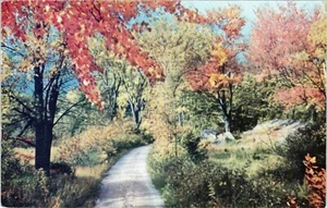 Postal Back Road otoño Vermont sin publicar - Imagen 1 de 2
