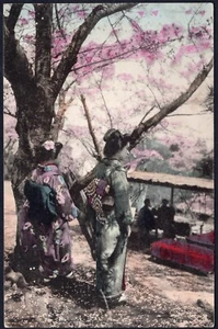 Japan old colored picture postcard Geisha Girls Women cherry blossom time unused - Picture 1 of 2