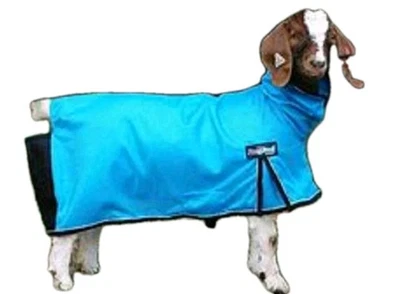 Weaver Leather Livestock ProCoolMesh Ziegendecke mit reflektierenden Paspeln blau klein - Bild 1 von 4