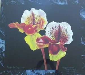 Robert Allen Cioran Signed Artist Proof Lithograph "Lady slipper Orchids" - Picture 1 of 5