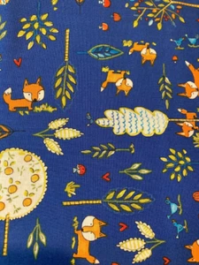 SALE Fox Playground -Playground Dena Designs PWDF189 NAVY 1 Yard Cut - Picture 1 of 9