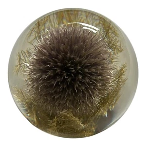 Hafod Grange Briefbeschwerer 1996 Globe Thistle Flower Resin Sphere - Made in UK - Bild 1 von 5