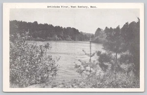 Postal Alcachofa Río West Newbury Massachusetts - Imagen 1 de 2
