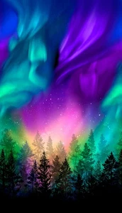 Timeless Treasures Pine Forest Aurora Sky Cotton Fabric Quilt Panel 24 x 44 - Picture 1 of 1