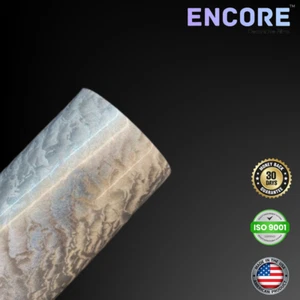 Vinilo adhesivo hoja de plata Encore® EFX21 para calcomanías/pegatinas - HECHO EN EE. UU. - Imagen 1 de 5