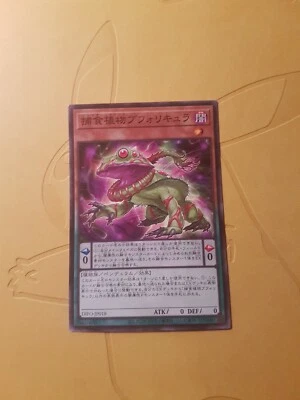 YU-GI-OH! - Predaplant Bufollicula - DIFO JP018 - Comune - Giapponese - Mint - Immagine 1 di 4