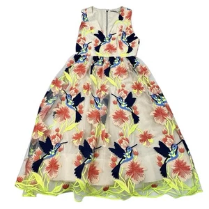 Alice + Olivia besticktes Becca Kolibri Applikation Vogel Kleid 2 selten - Bild 1 von 24