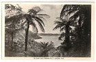 c1930 Real Photo Postcard: The Green Lake - Te Wairoa, NZ ? a/s: J. Batchelor
