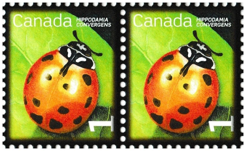 Canada 2234 Beneficial Insects Convergent Lady Beetle 1c horz pair MNH 2007 - Изображение 1 из 1