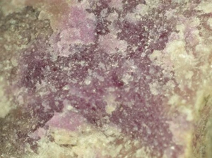 ALUMINOSUGILIT aus Ligurien, Italien * TYP LOKALITÄT EXEMPLAR * 1,8 cm - Bild 1 von 3