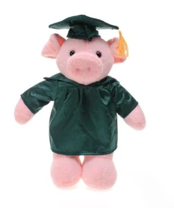 Peluche maiale personalizzato peluche giocattoli regali per la laurea 12 pollici - Foto 1 di 1