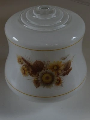 Vtg Hurricane Lamp Accurate floral Globe Replacement  6.25" tall 5.75 diameter - Image 1 of 3