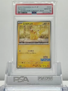 PSA 10 Pikachu 242/SV-P 2025 Concorso Illustrazione 2024 Promo Carta Pokemon JPN - Foto 1 di 2