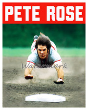 MLB Cincinnati Reds Pete Rose Head First Color 8 X 10 Photo Picture