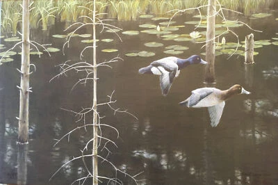 **RARO** ROBERT BATEMAN 2009 Canadá GICLEE 25th ANN Habitat Impresión, 4/99 **RARO** Foto 1 de 4