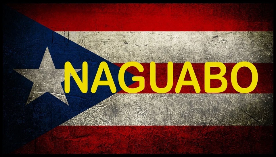 Naguabo Pueblo Puerto Rico Flag Patch W/  Hook & Loop Fastener Black Border - Image 1 of 1