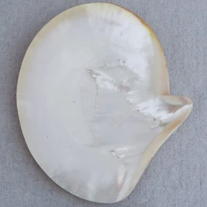 Mother Of Pearl Shell Caviar Jewelry Change Dish Sushi Serving Tray Catchall 8" - Picture 1 of 7