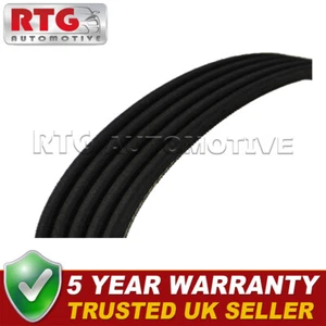 Power Steering Pump Belt Fits Ford Fiesta Fusion 1.2 1.4 1.6 - Picture 1 of 3