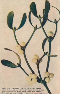Muérdago postal vintage parte posterior dividida - Imagen 1 de 2