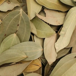 Dried Cinnamon Herbal 50 Leaves True Ceylon Fresh Natural Leaf 100% High Quality - Picture 1 of 11