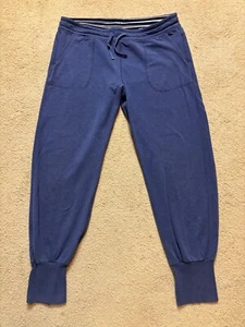 Patagonia Ahnya Pants Jogger Sweatpants Blue Organic Cotton Size S - HAS A HOLE - Picture 1 of 6