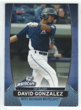 2016 West Michigan Whitecaps (Class A-Detroit Tigers) David Gonzalez