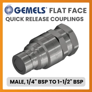 Gemelos, cara plana, acoplamientos de liberación rápida, macho, 1/4"" a 1-1/2"" BSP DN6.3-25 - Imagen 1 de 1